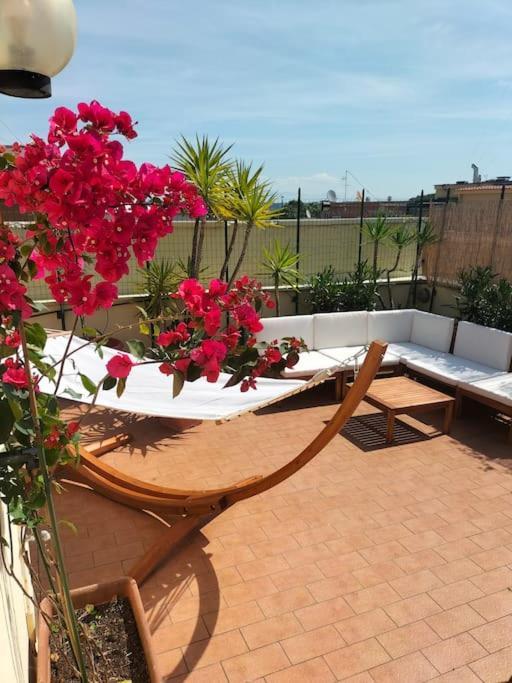 Apartment Amazing With Terrace