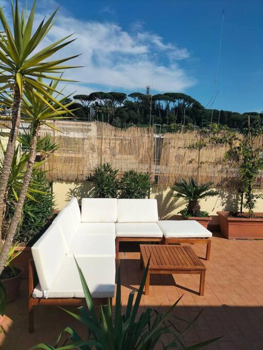 Amazing With Terrace Apartment