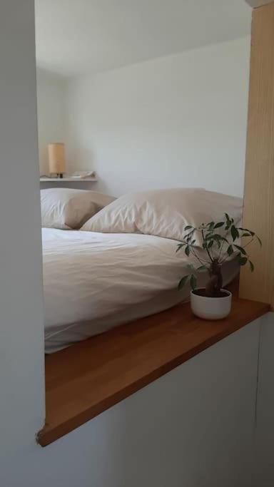 Amazing With Terrace Apartment *